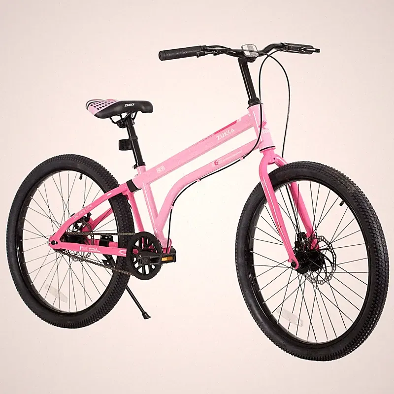 24" Kids Bicycle for 10+ Ages, 1 Speed Steel Frame Bike with Dual Disc Brakes