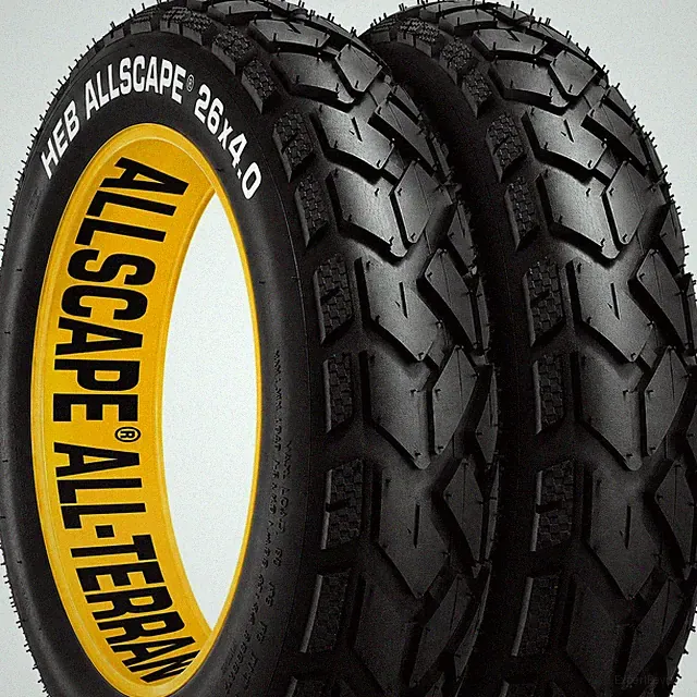 HEB ALLSCAPE 16X4.0 20X4.0 26X4.0 24X4.0 20X3.0 26X 3.0 Inch E-Bike Fat Tire, Pe